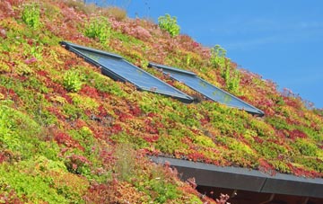Cole Henley living roof systems