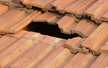 roof repair Cole Henley, Hampshire
